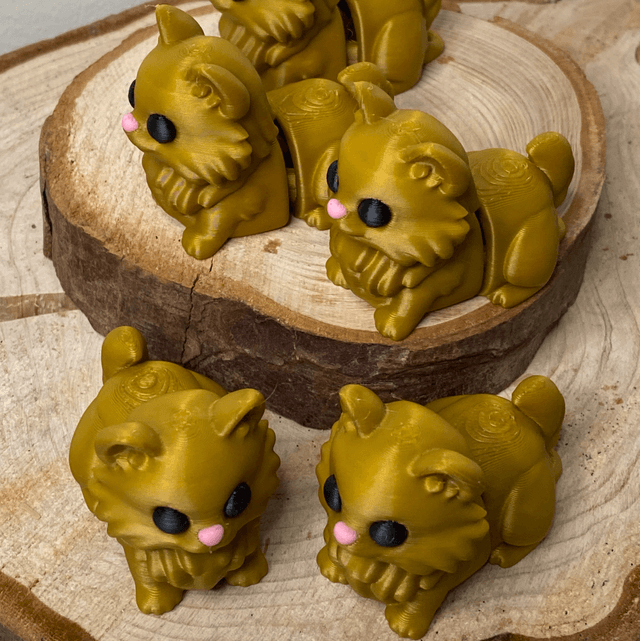 Gatinho