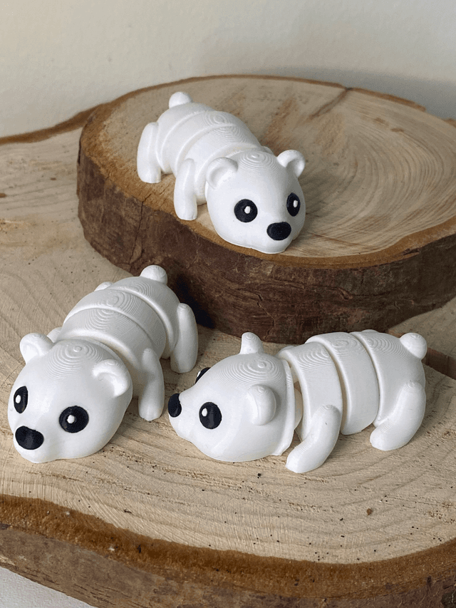 Urso Polar