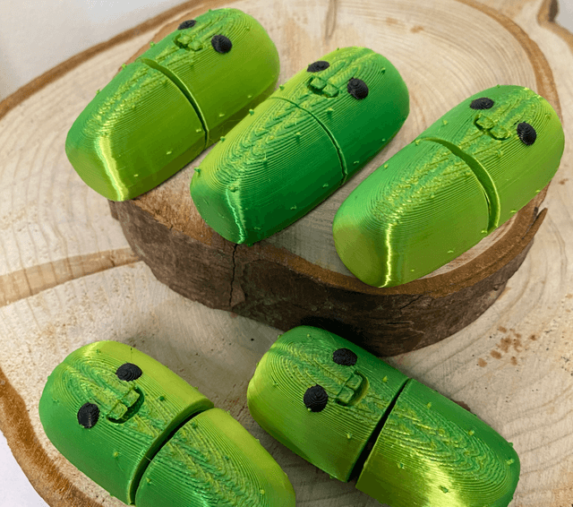 Cacto