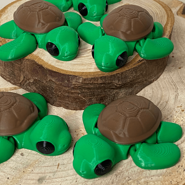 Tartaruga
